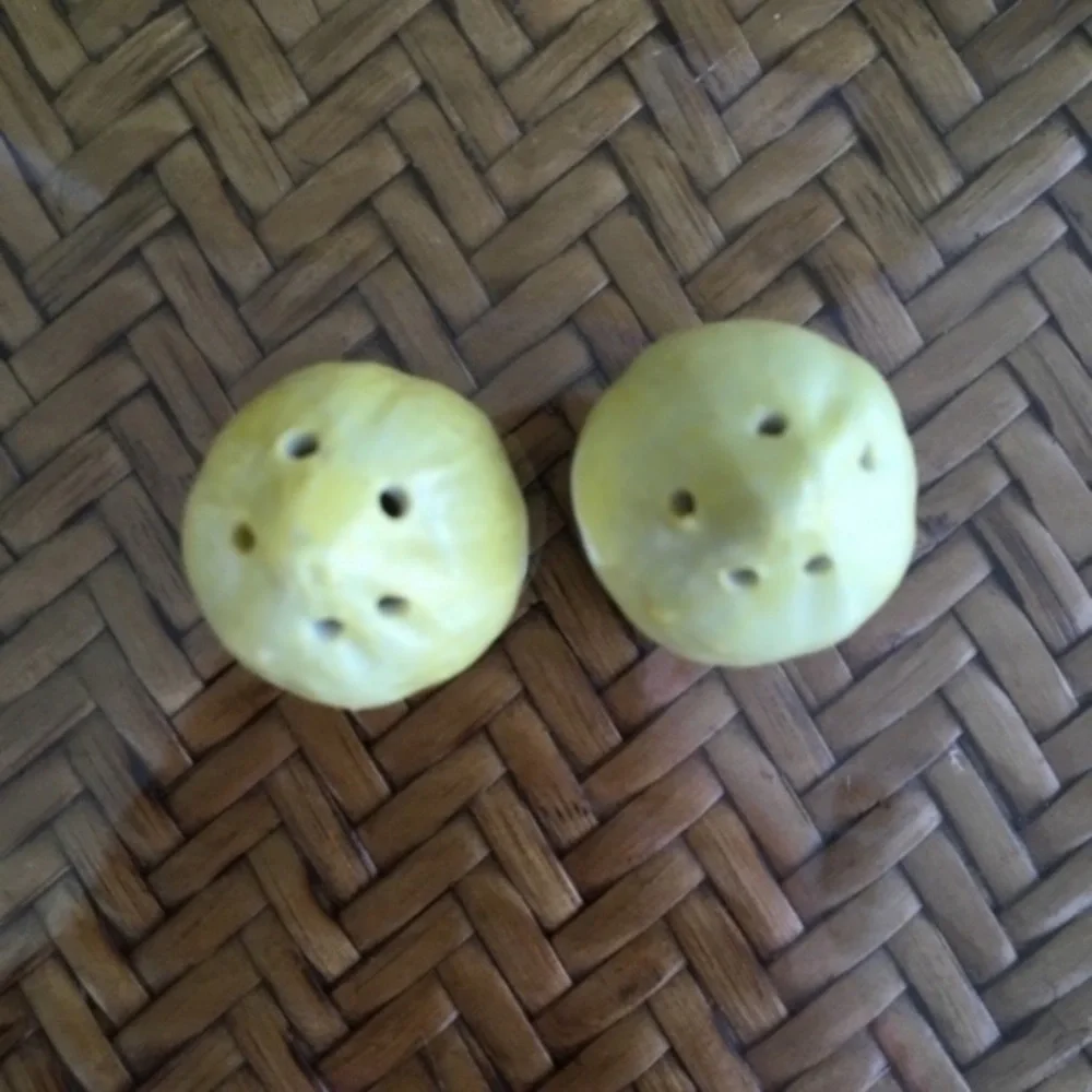 Lemon Salt and Pepper Shakers